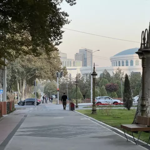Аллея в центре Ташкента