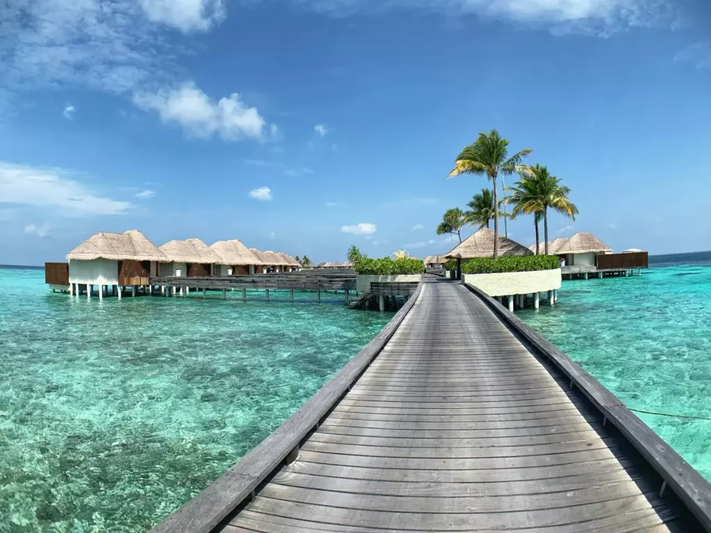 Wooden pier by palm trees in the Maldives