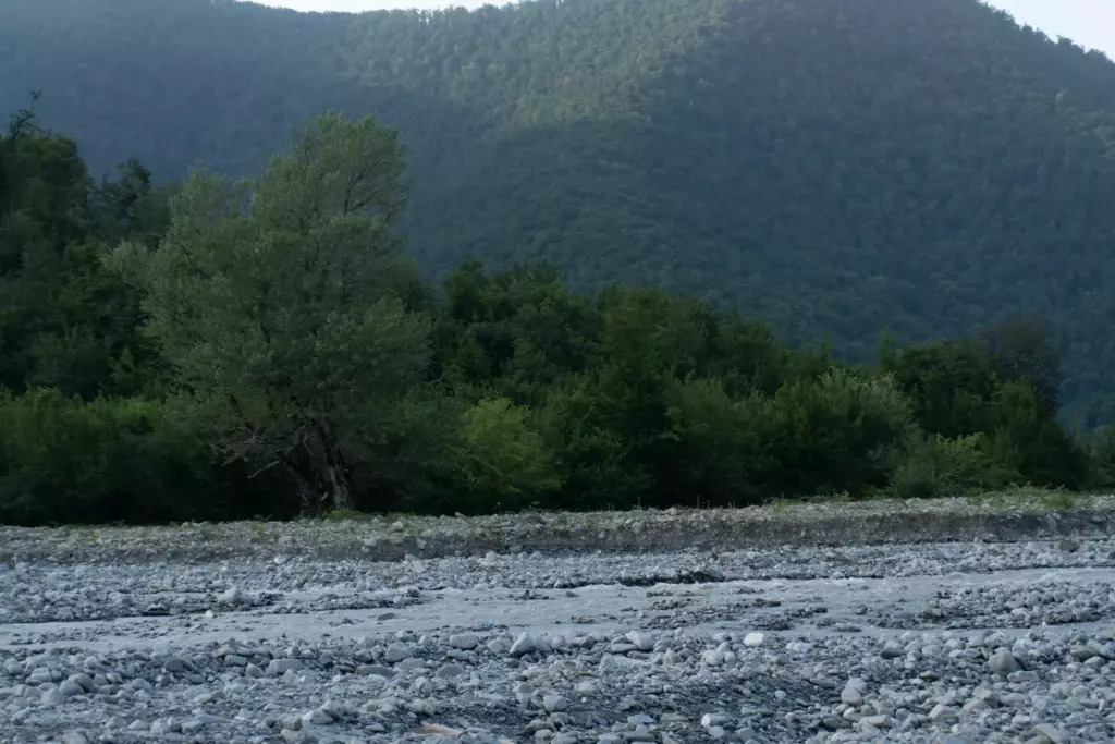 Gabala