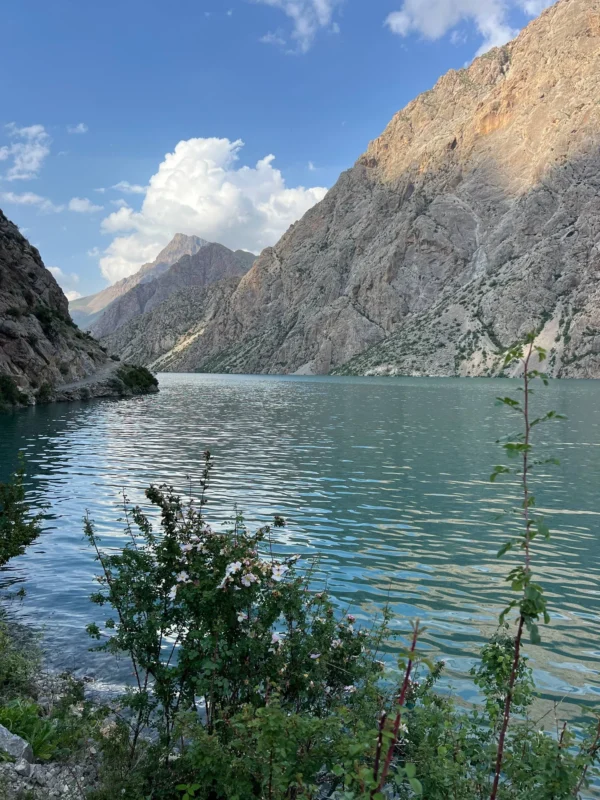 Lago turchese incorniciato da ripide scogliere rocciose e un cielo azzurro brillante, con arbusti e fiori in primo piano.