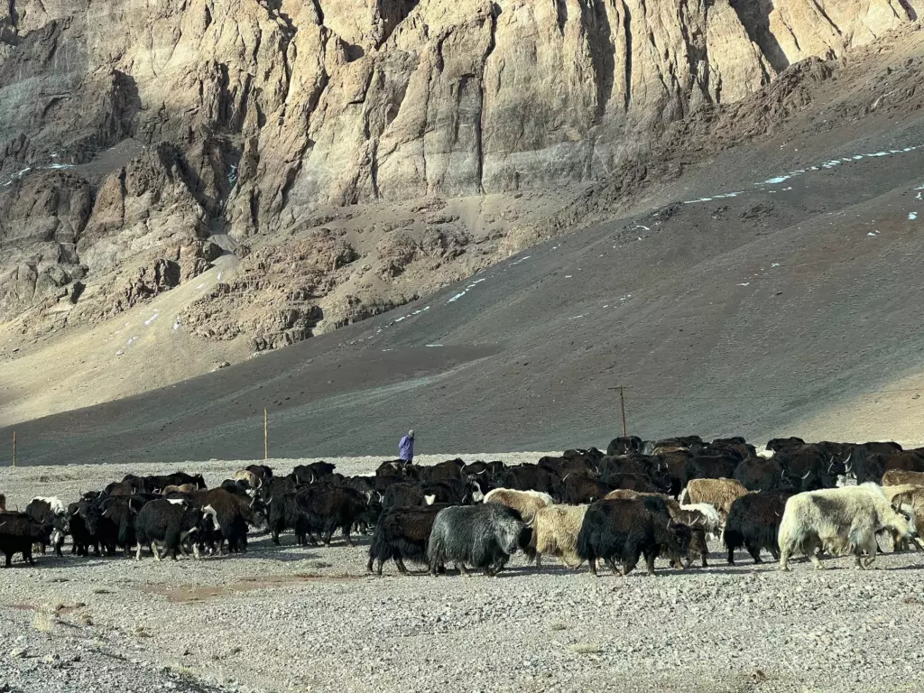 Afsonaviy Pomir trakti bo'ylab jip-tur