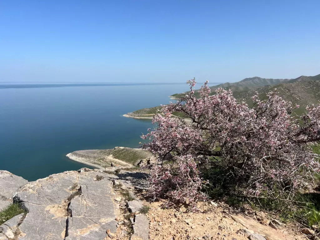 图兹坎湖 皮斯塔利套